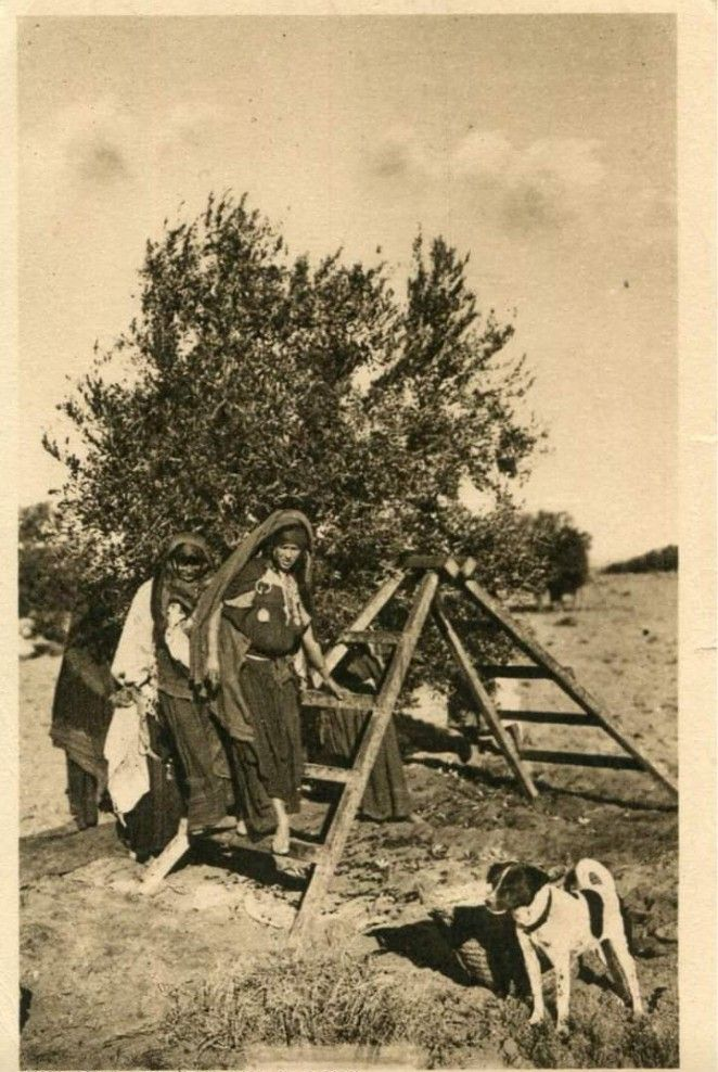 Odmor u polju